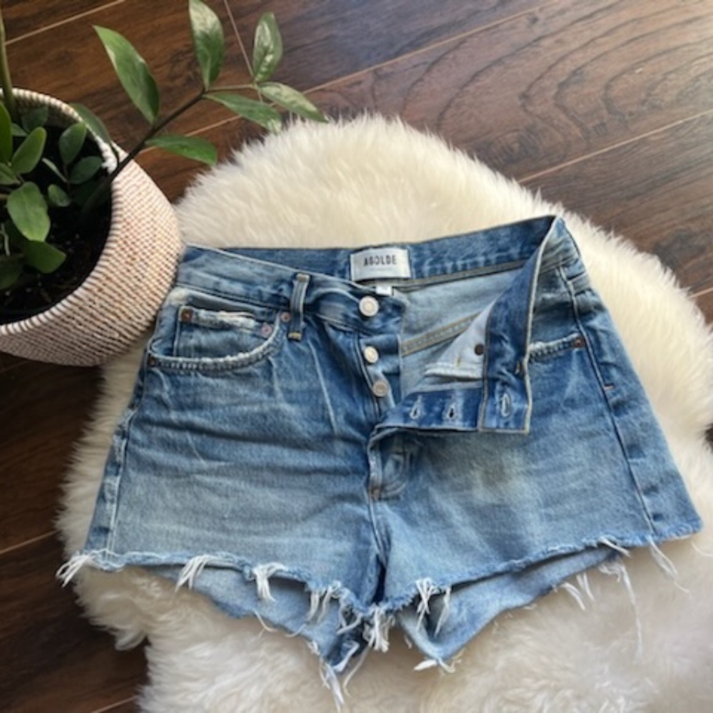Agolde Parker Shorts in Swapmeet size 24